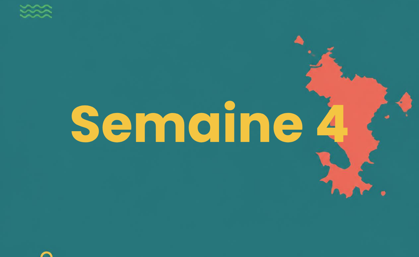 Semaine 4 – Émotions, opinions et conversations
